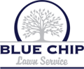 Blue chip Lawn Service